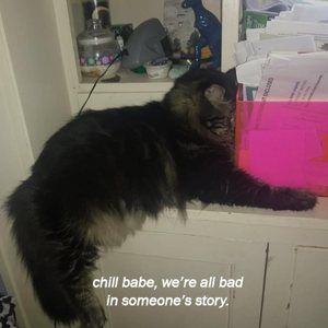 Meet your Posher, James